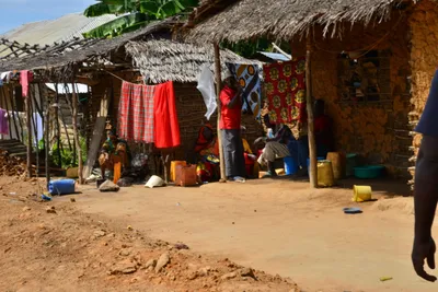 DSC_4704 (Large).JPG